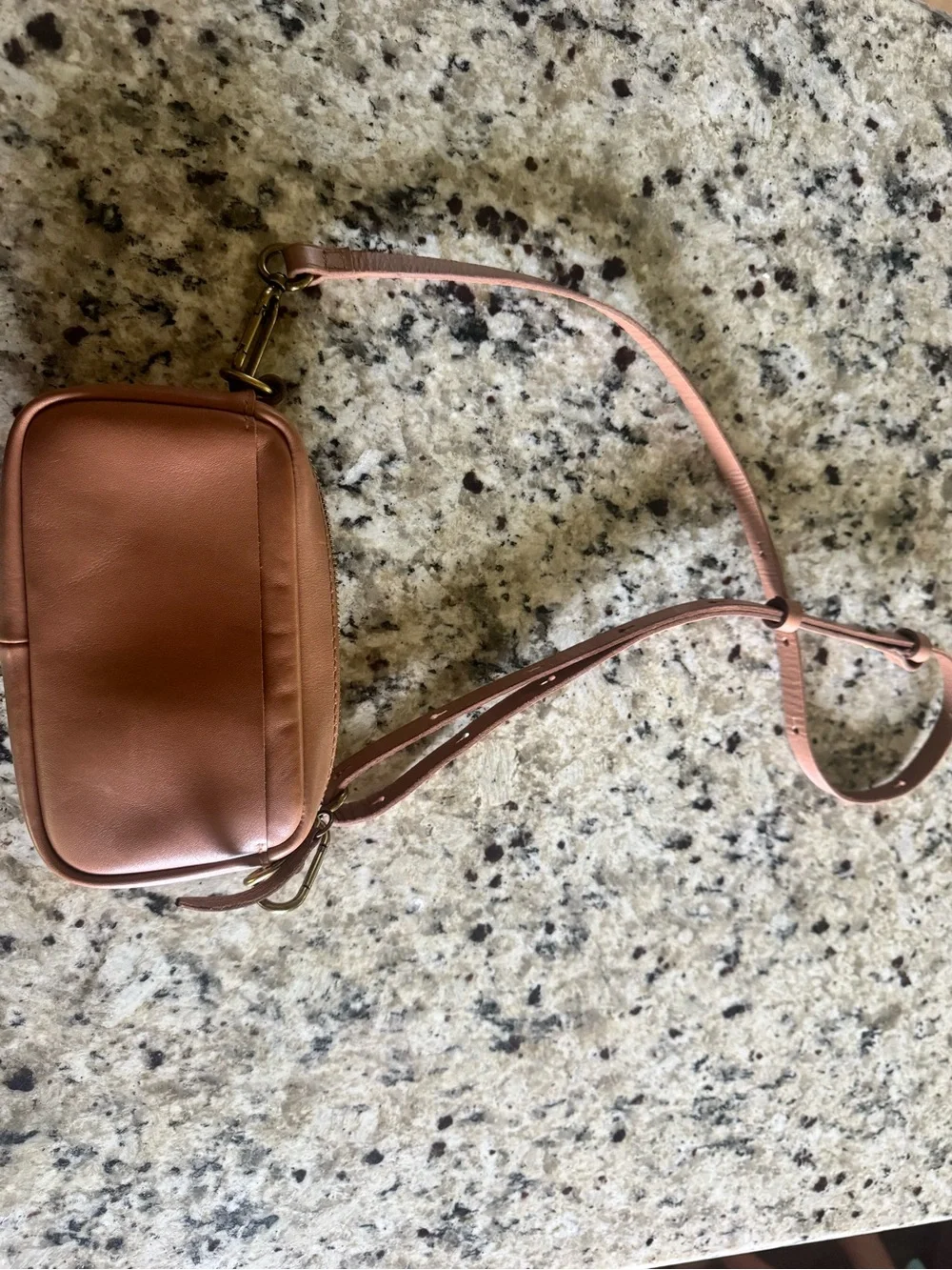 Madewell The Leather Carabiner Mini Crossbody Ba